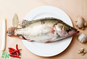 ?五月份吃什么魚？5月份吃什么魚？