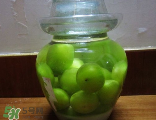 三華李可以泡酒嗎？三華李可以多吃嗎？