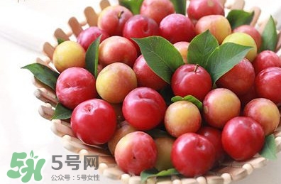月經(jīng)期可以吃三華李嗎？月經(jīng)期能吃三華李嗎