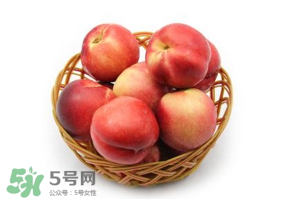 三華李可以泡酒嗎？三華李可以多吃嗎？