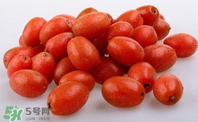 羊奶果可以連皮吃嗎？羊奶果的皮可以吃嗎