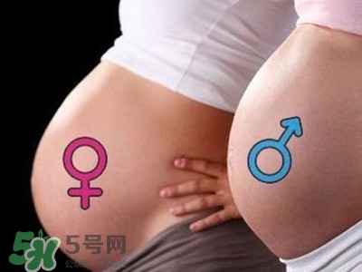 B超單數(shù)據(jù)怎么看男女？B超單看男女準(zhǔn)嗎？