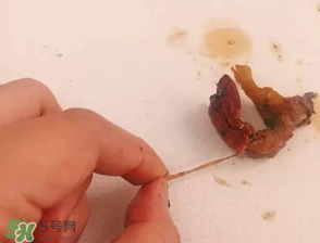 周黑鴨小龍蝦好吃嗎？周黑鴨小龍蝦試吃評測