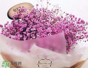 母親節(jié)可以送滿天星嗎？母親節(jié)能送滿天星嗎？