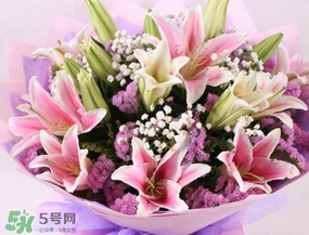 百合花多少錢一支2017？百合花多少錢一束2017？