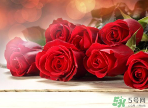 母親節(jié)送什么顏色的玫瑰花？母親節(jié)送幾朵玫瑰花？
