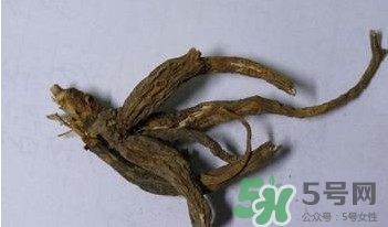 土瓜根是什么？土瓜根粉哪里有賣的？