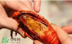 周黑鴨小龍蝦怎么吃？周黑鴨小龍蝦怎么吃圖解？