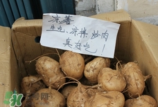 涼薯怎么做好吃？涼薯怎么炒好吃