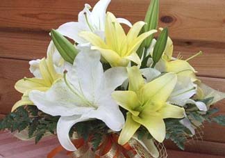 百合花多少錢一支2017？百合花多少錢一束2017？