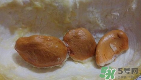 榴蓮核能種嗎？榴蓮核怎么種盆栽？