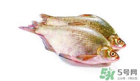 鳊魚怎么做好吃？鳊魚怎么燒好吃