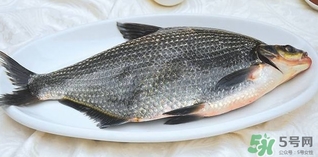 鳊魚怎么做好吃？鳊魚怎么燒好吃