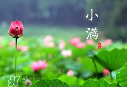 2017小滿是幾月幾日？小滿節(jié)氣養(yǎng)生
