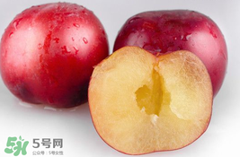 李子可以和西紅柿一起吃嗎？西紅柿和李子能同吃？