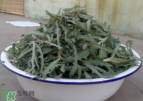 苦苦菜怎么腌制？怎樣腌制苦苦菜？