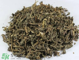 苦菜可以曬干嗎？苦菜怎么曬干？
