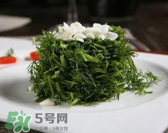 茴香菜怎么做好吃？茴香菜怎么炒好吃