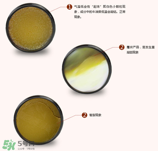 地球媽媽護臀膏能擦臉嗎？地球媽媽護臀膏可以擦臉用嗎？