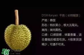 金枕頭和貓山王哪個好？金枕頭和貓山王的區(qū)別