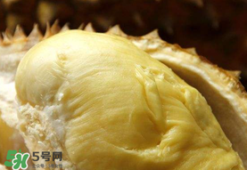 金枕頭榴蓮幾月份上市？金枕頭榴蓮什么時候上市？