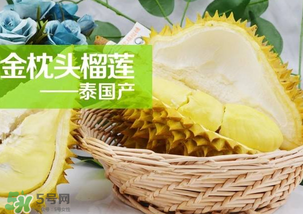 金枕頭榴蓮怎么才算熟？金枕頭榴蓮怎么催熟？