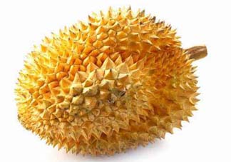 金枕頭和貓山王哪個好？金枕頭和貓山王的區(qū)別