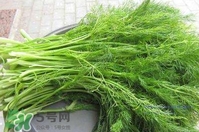 茴香菜是酸性還是堿性？什么人不能吃茴香菜