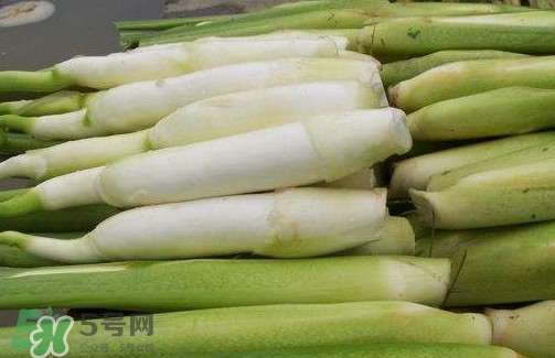 茭白是筍嗎？茭白是高筍嗎