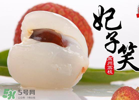 荔枝為什么叫妃子笑？荔枝和妃子笑的區(qū)別