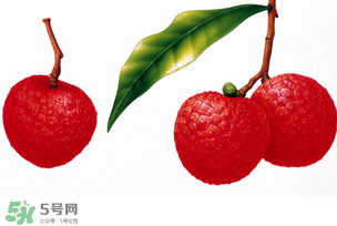 拉肚子能吃荔枝嗎 ？拉肚子可以吃荔枝嗎 ？