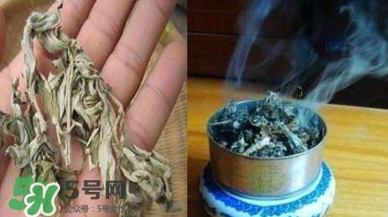 艾葉可以驅蚊子嗎？艾葉能驅蚊子嗎