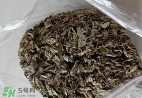 艾葉枕頭孕婦可以用嗎？艾葉枕頭小孩可以用嗎