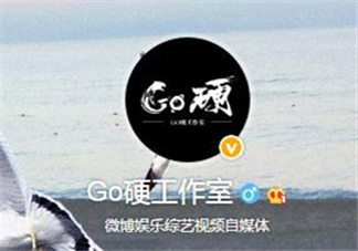 go硬工作室和卓偉有什么關(guān)系？go硬工作室是卓偉前員工成立的？
