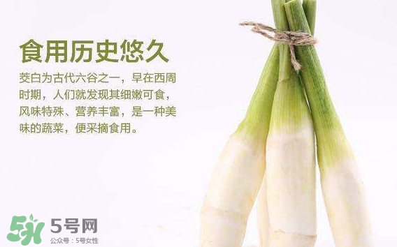 茭白是發(fā)物嗎？茭白是不是發(fā)物