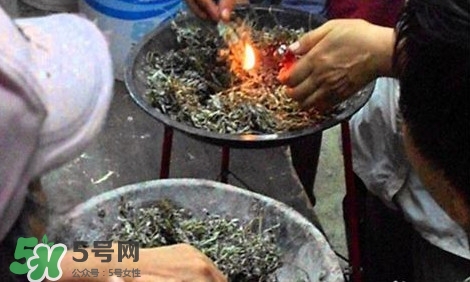 艾葉可以驅蚊子嗎？艾葉能驅蚊子嗎