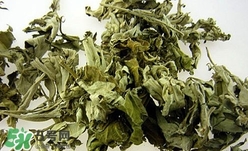 艾葉可以驅蚊子嗎？艾葉能驅蚊子嗎