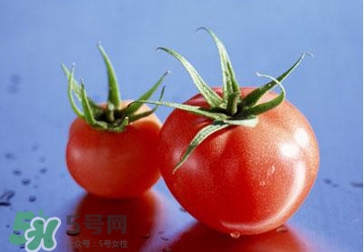 孕婦可以吃生西紅柿嗎？孕期多吃西紅柿的好處