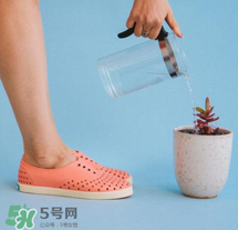 native鞋中文名稱是什么？native鞋中文怎么翻譯？