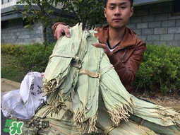 干粽葉怎么煮？干粽葉煮多久？