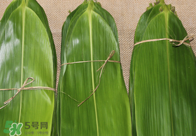 干粽葉要煮嗎？干粽葉到底是泡好還是煮好？