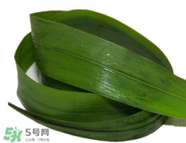粽葉有幾種？粽葉哪種好？