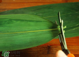 粽葉是干的好還是新鮮的好？干棕葉好還是新鮮棕葉好？