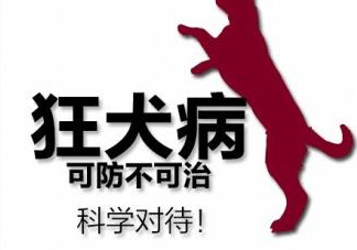 狂犬病會傳染嗎？狂犬病會學(xué)狗叫嗎