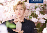 鹿晗代言了歐舒丹嗎？歐舒丹的代言人是鹿晗嗎？