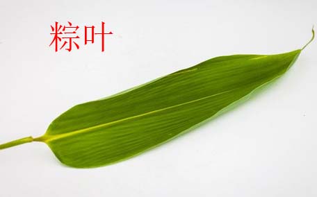 粽葉一包就破什么原因 粽葉怎么樣才能不容易破