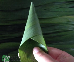 粽子葉能冷凍嗎？粽子葉放冰箱冷藏還是冷凍？