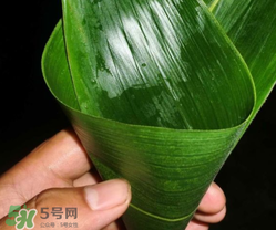粽子葉能冷凍嗎？粽子葉放冰箱冷藏還是冷凍？