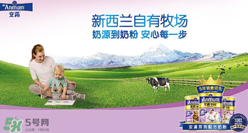 安滿滿睿幼兒配方奶粉怎么樣？安滿滿睿奶粉怎么沖？