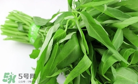 空心菜可以放冰箱嗎？空心菜能在冰箱放幾天
